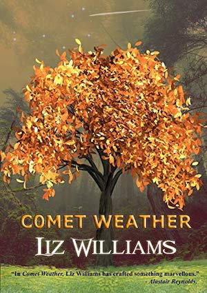Comet Weather book cover